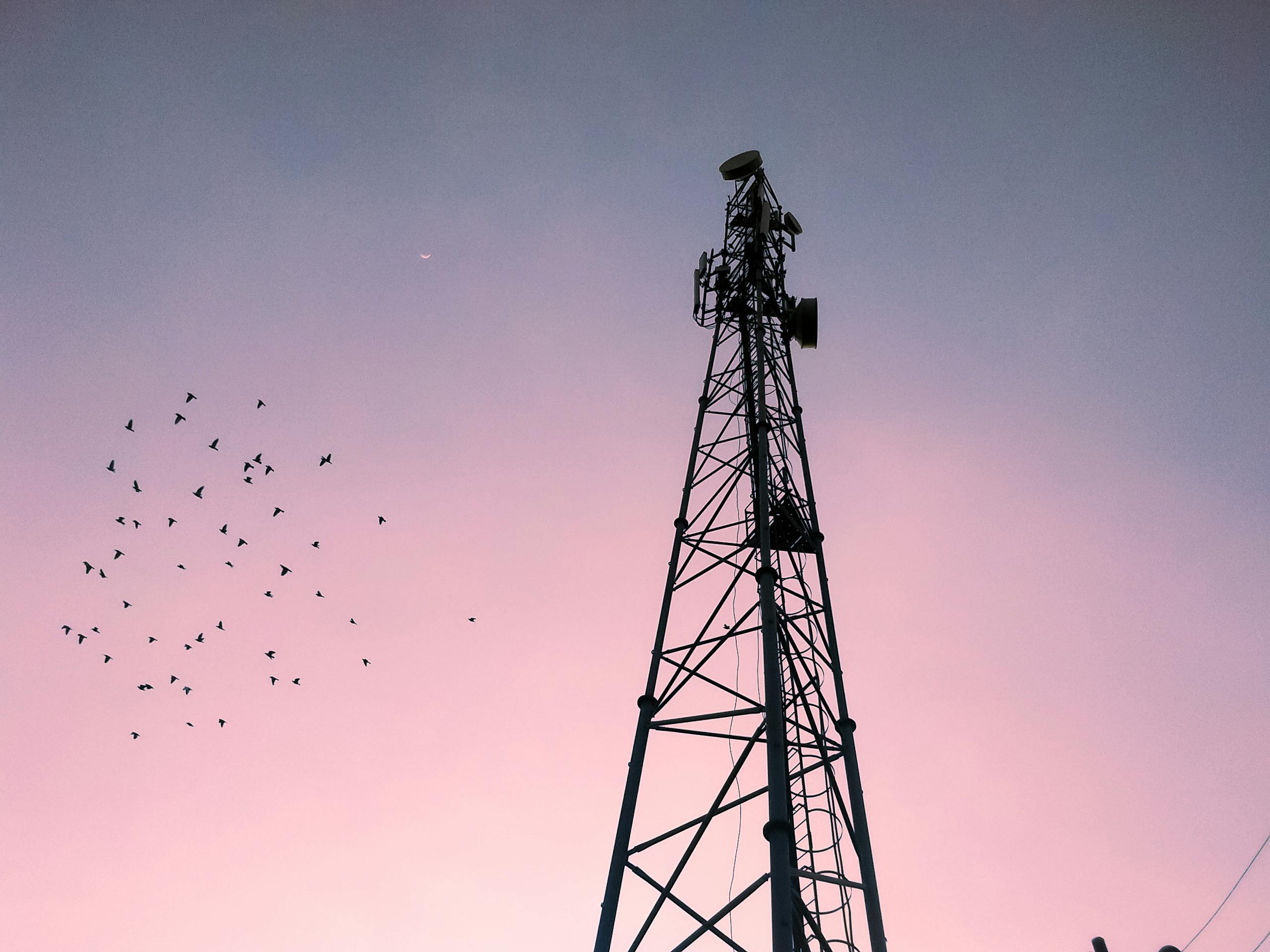 Atelier fibre optique